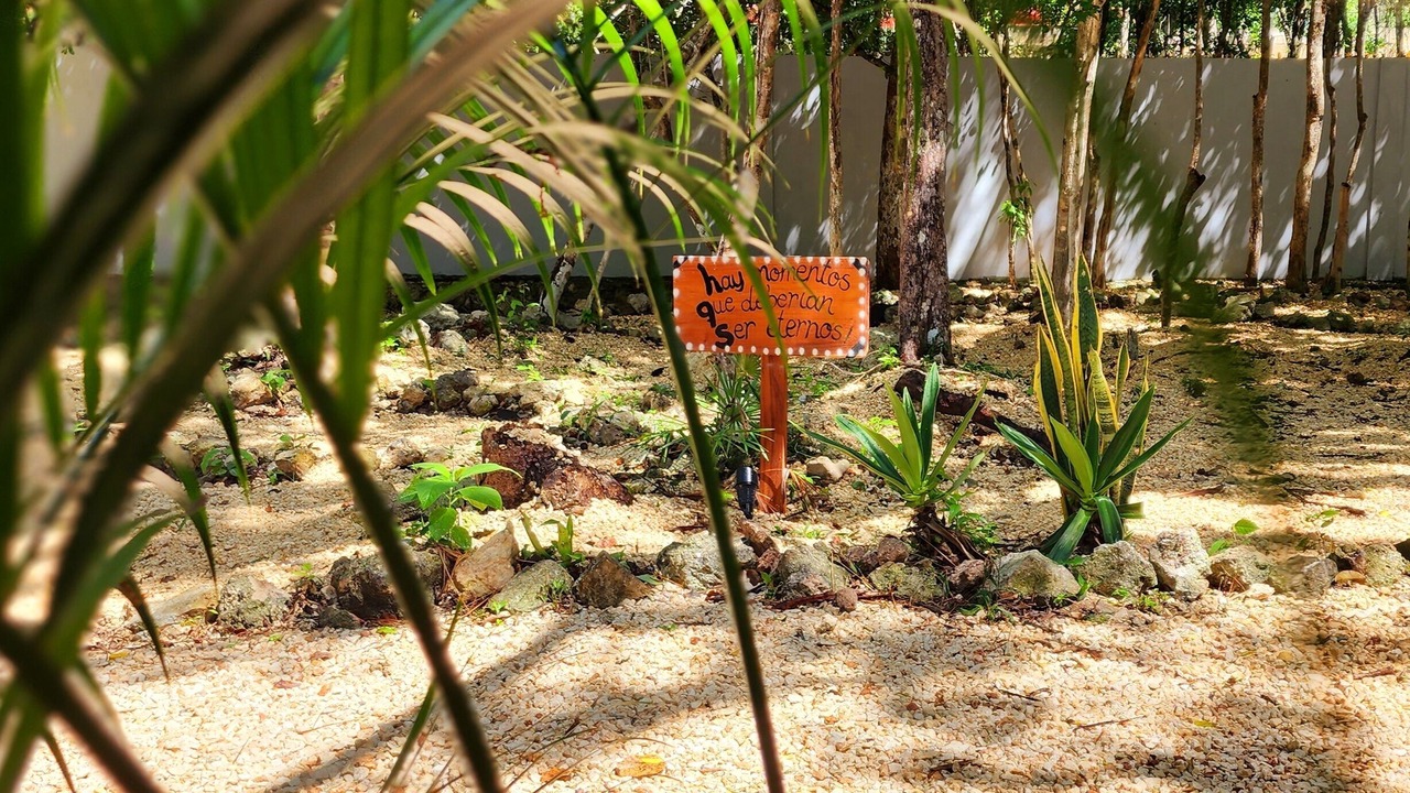 Photo of Outdoor in Chetumal