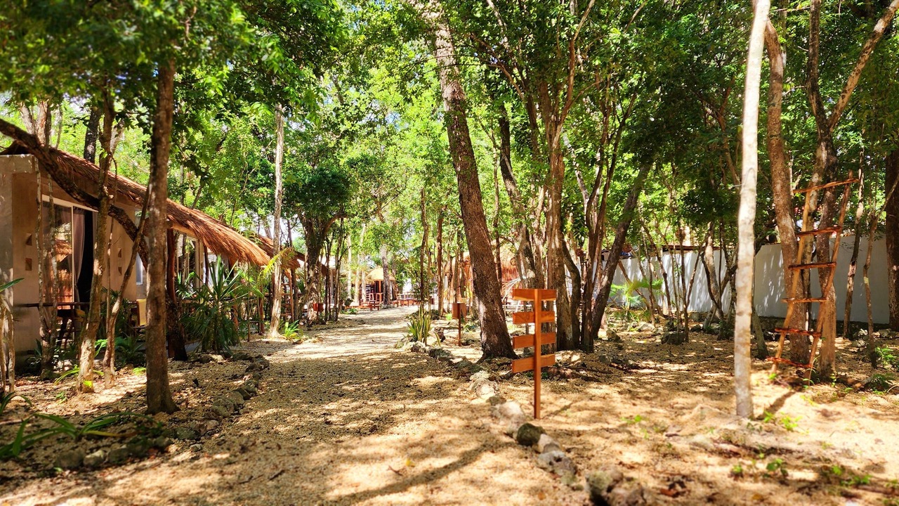 Photo of Outdoor in Chetumal