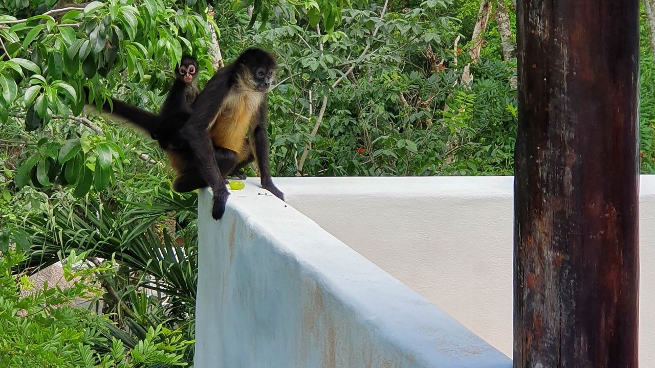 Photo of Outdoor in Xcaret
