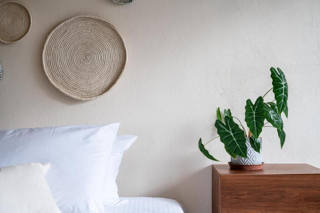 Photo of Bedroom in Bacalar