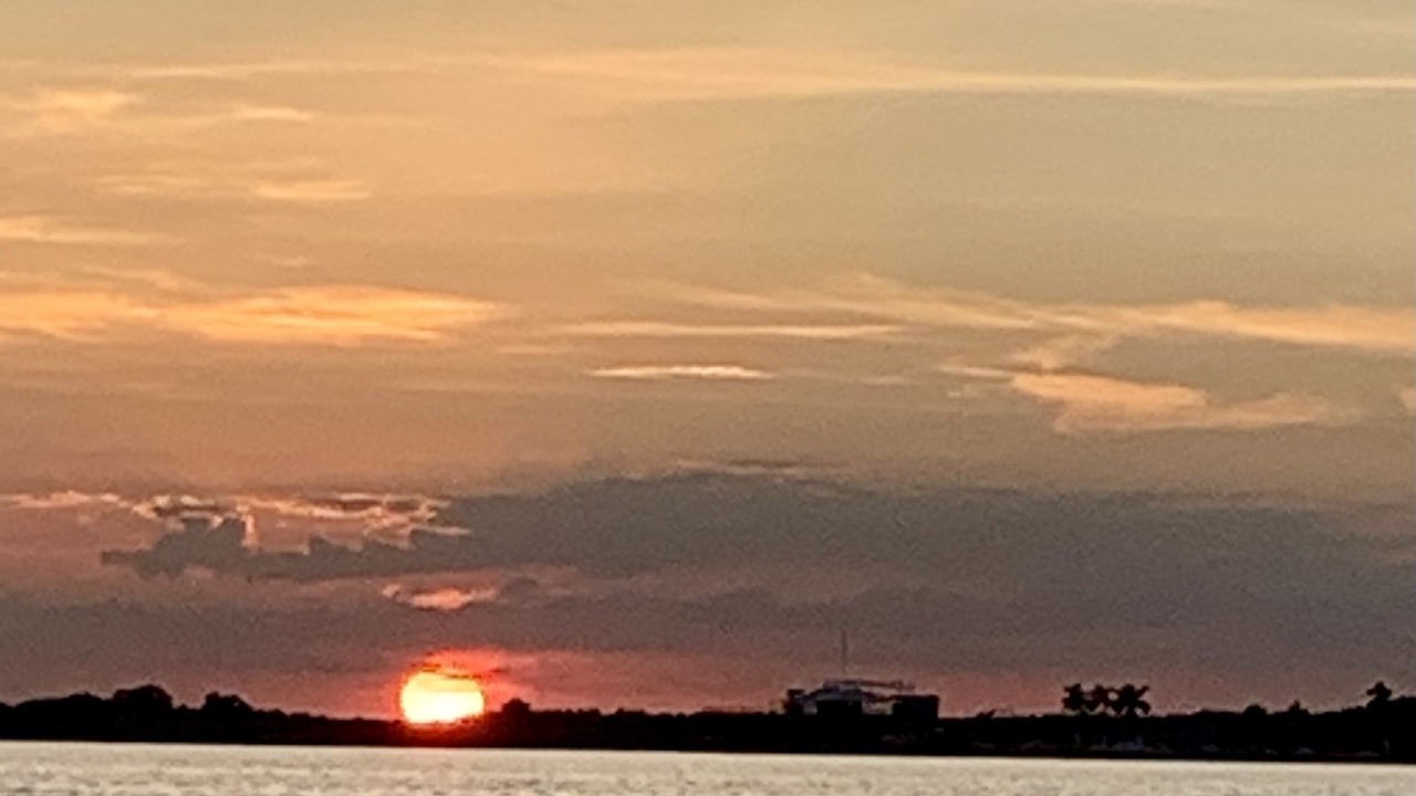 Photo of Others in Chetumal