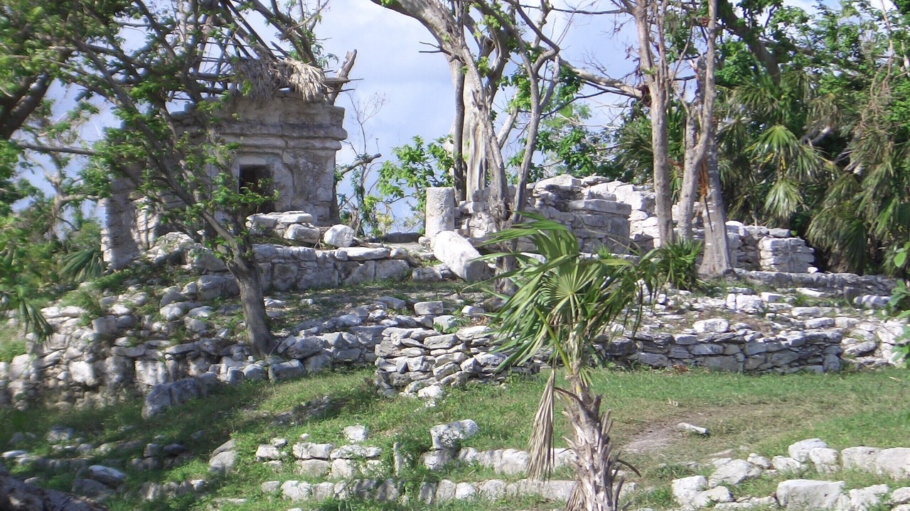 Photo of Outdoor in Playacar Fase I