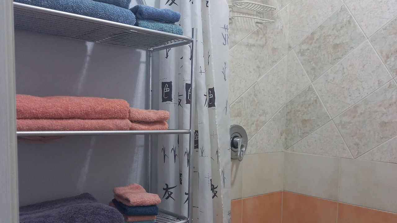 Photo of Bathroom in Colonia Adolfo Lopez Mateos