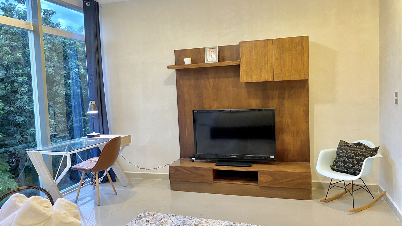 Photo of Livingroom in Playacar Fase II