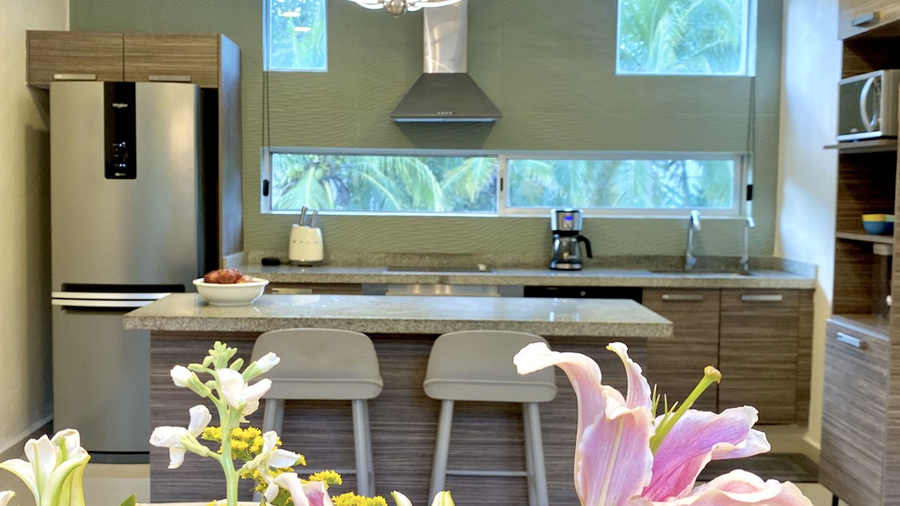 Photo of Kitchen in Playacar Fase II