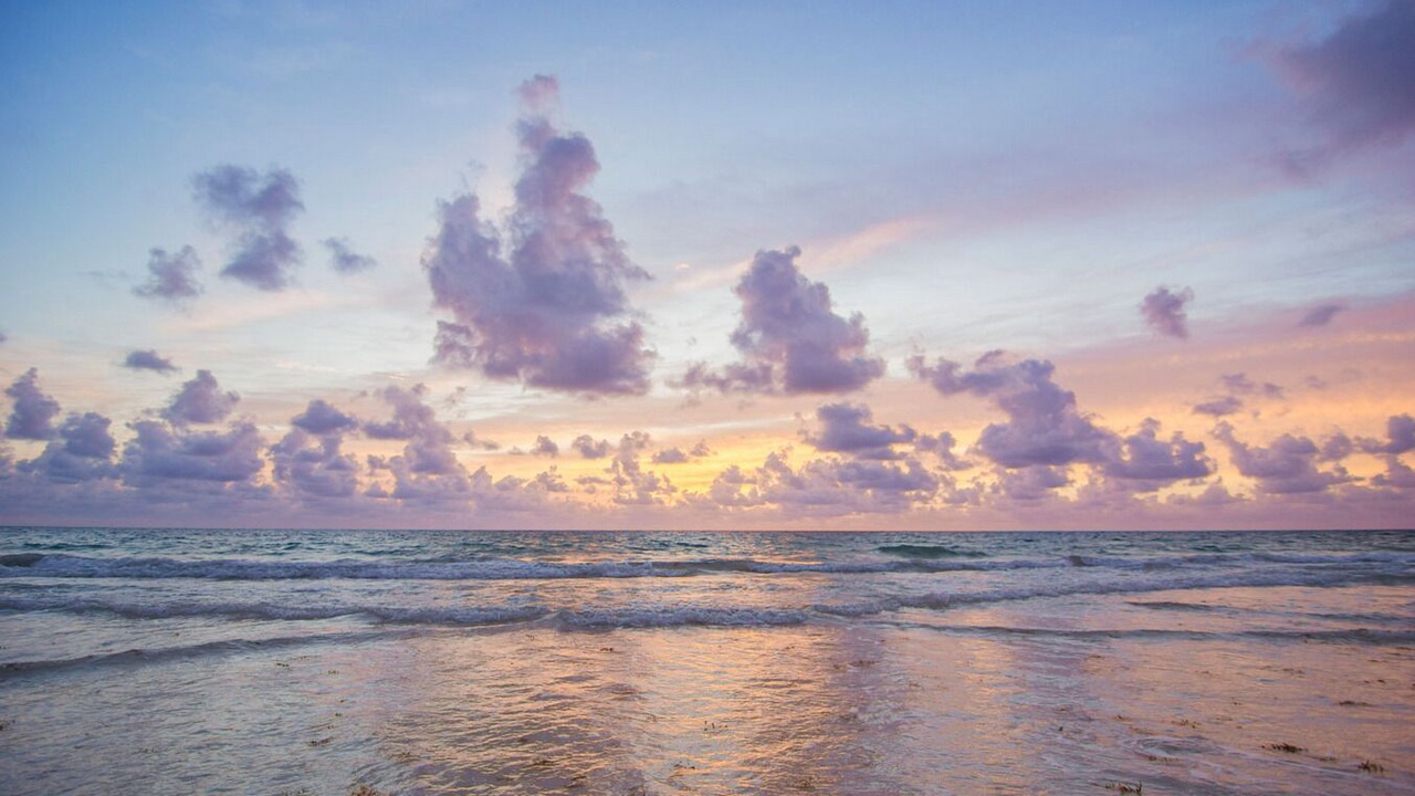Photo of Others in Tulum