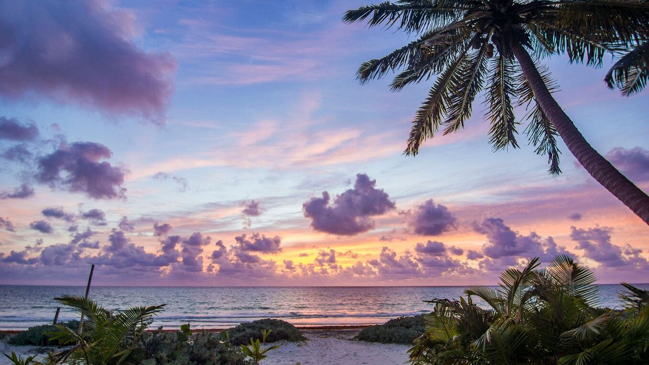 Photo of Others in Tulum