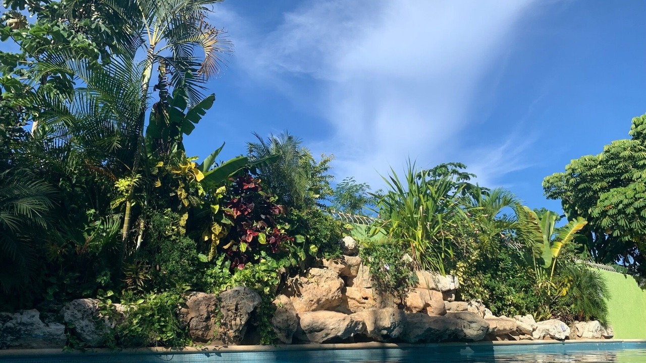 Photo of Outdoor in Luis Donaldo Colosio