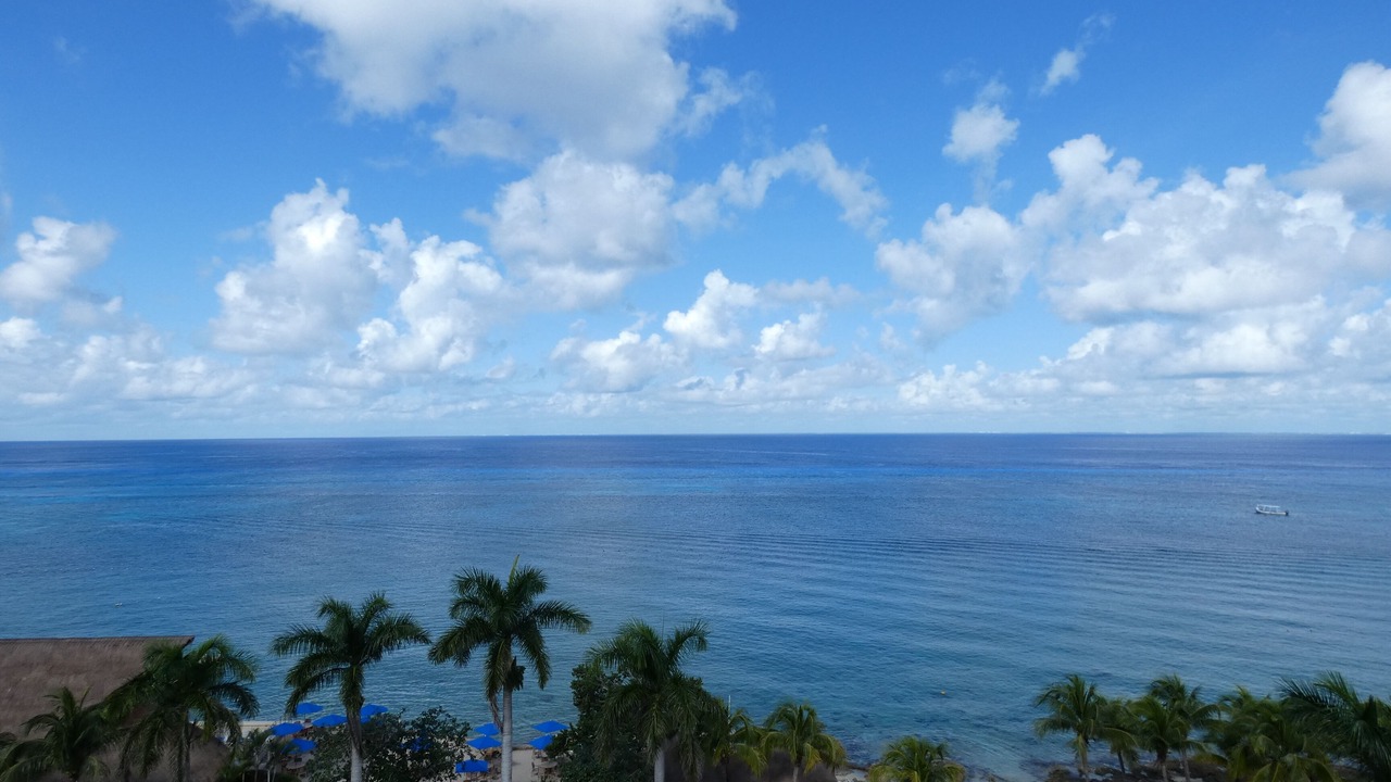 Photo of Others in Cozumel