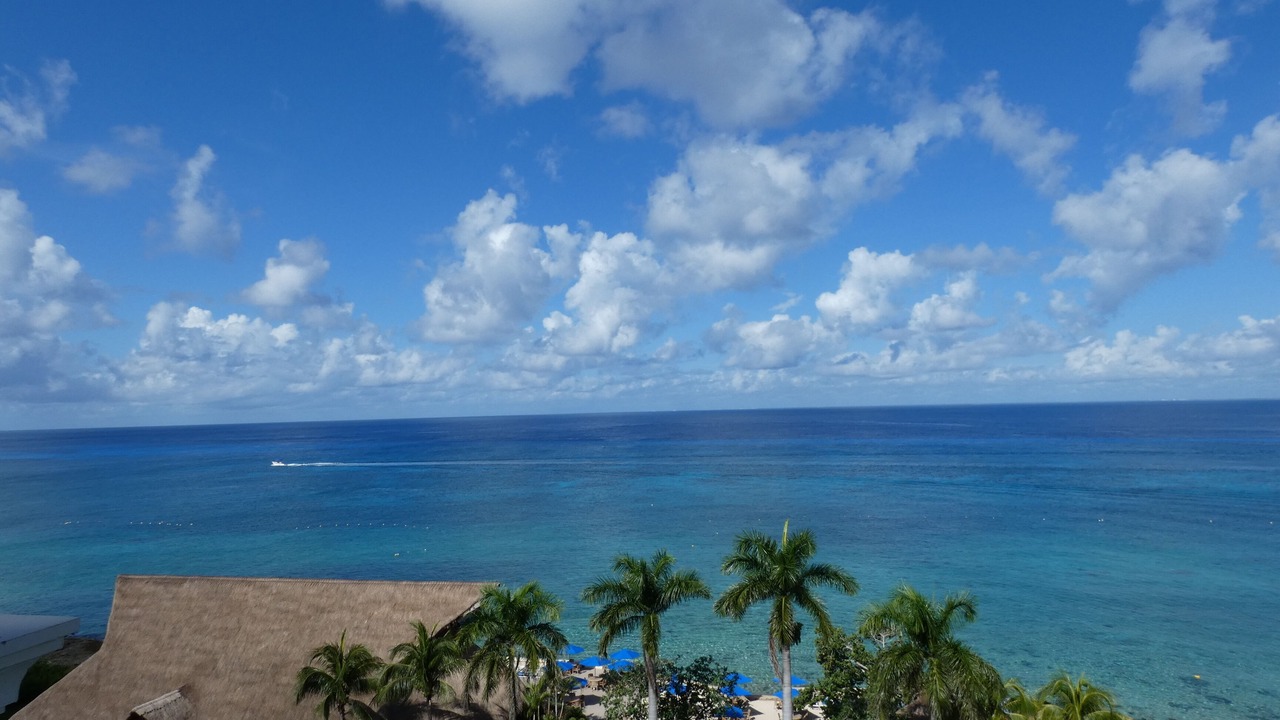 Photo of Others in Cozumel
