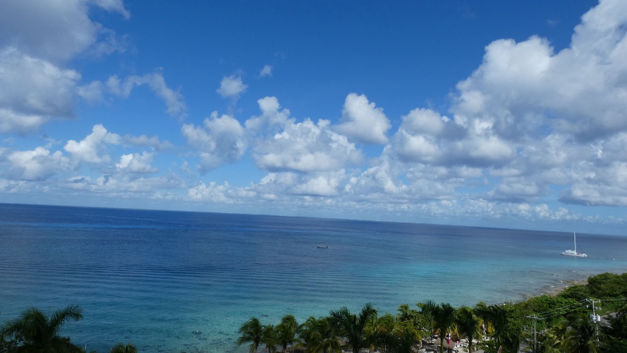 Photo of Others in Cozumel