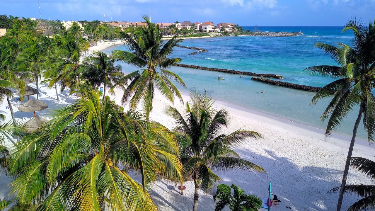 Photo of Others in Puerto Aventuras
