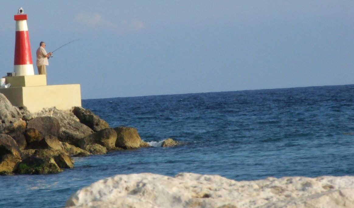 Photo of Others in Puerto Aventuras