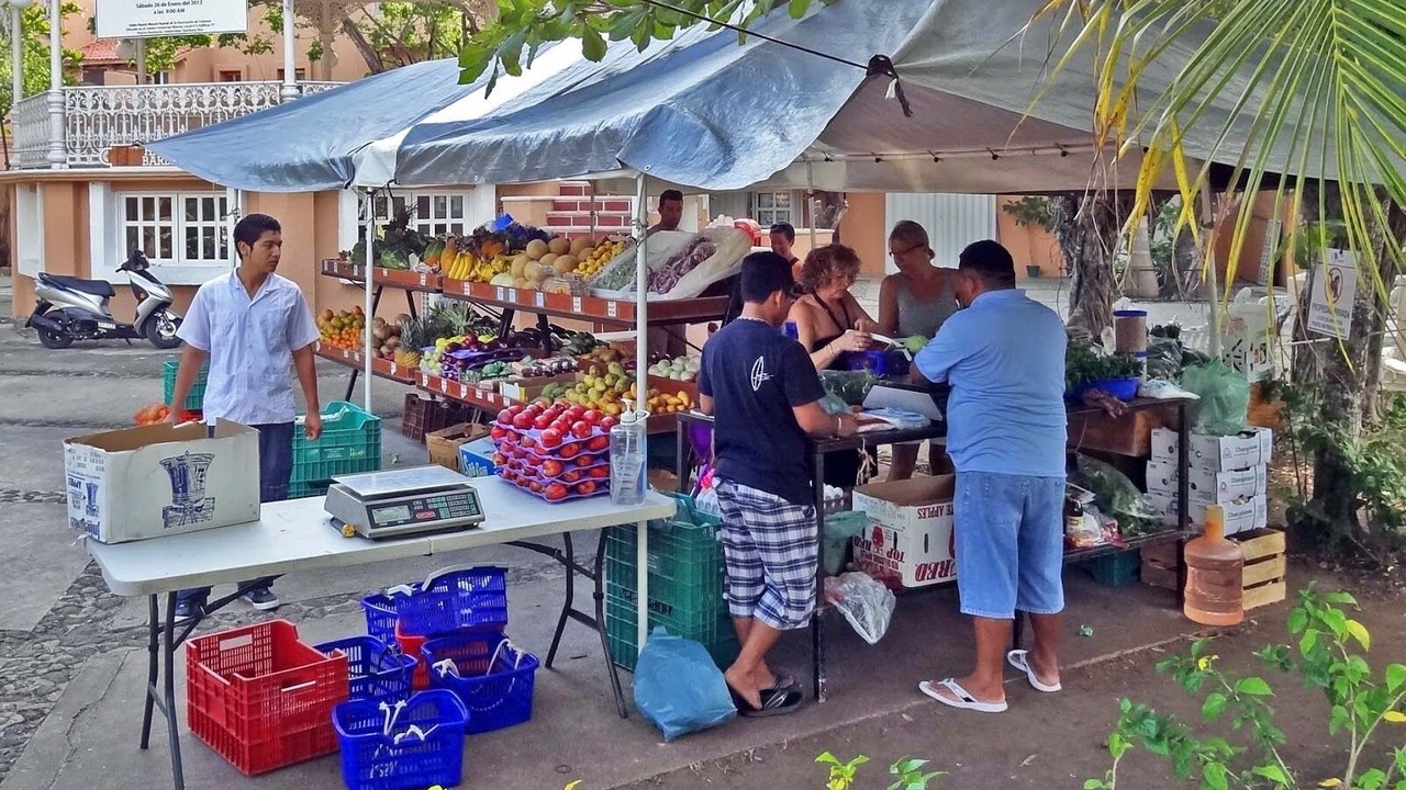 Photo of Others in Puerto Aventuras