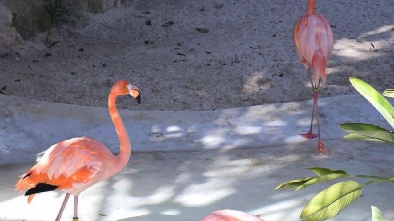 Photo of Outdoor in Xcaret