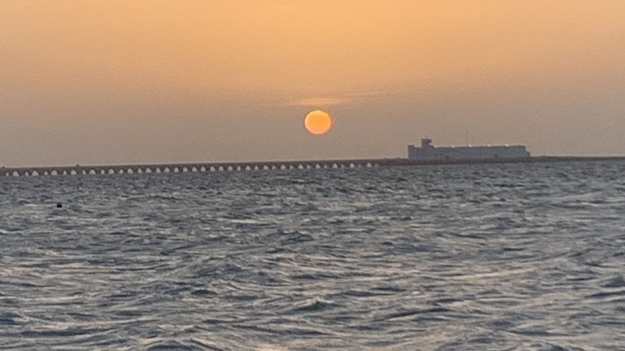 Photo of Others in Chicxulub Puerto