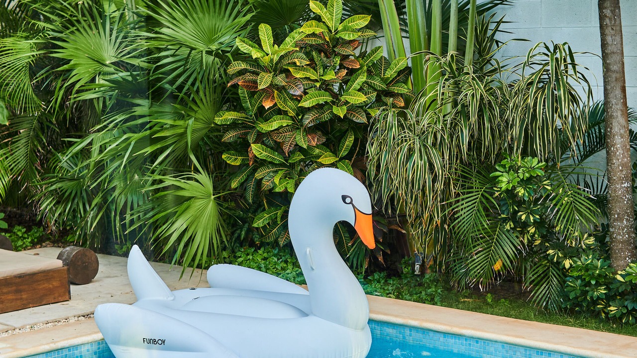 Photo of Outdoor in Tulum