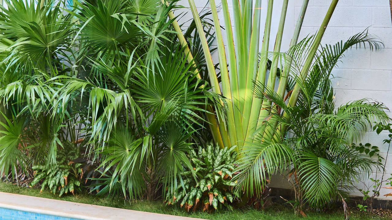 Photo of Outdoor in Tulum