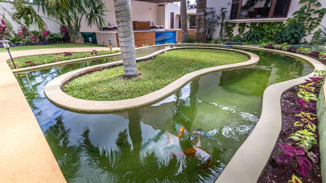 Photo of Outdoor in Alfredo V. Bonfil