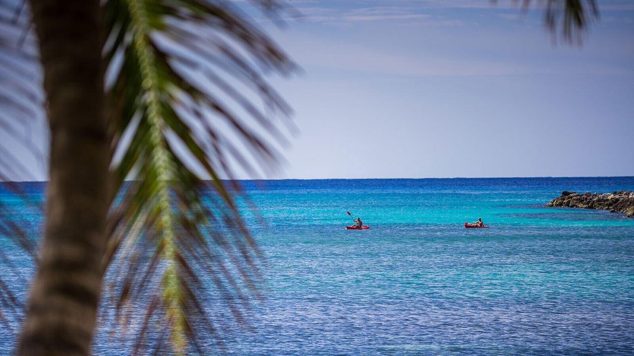 Photo of Others in Puerto Aventuras