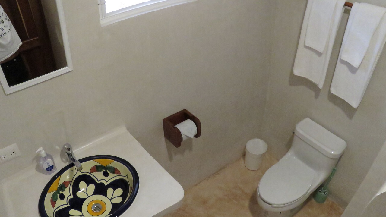 Photo of Bathroom in Mario Villanueva Madrid