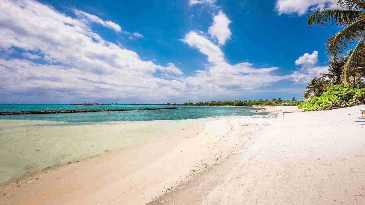 Photo of Others in Puerto Aventuras