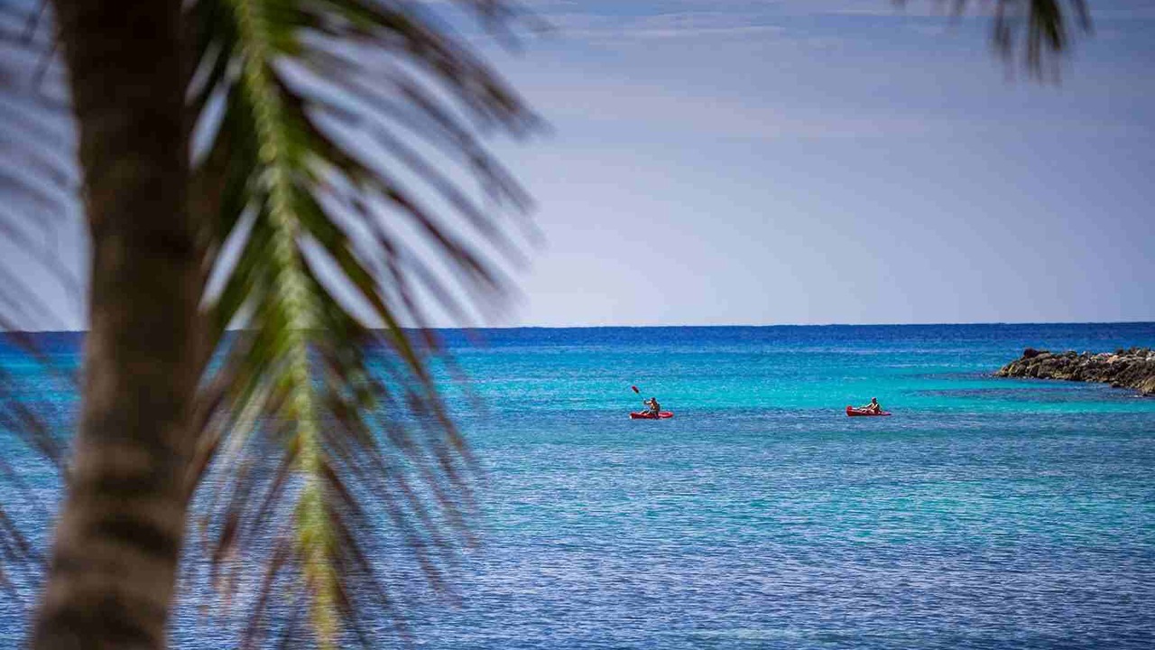 Photo of Others in Puerto Aventuras