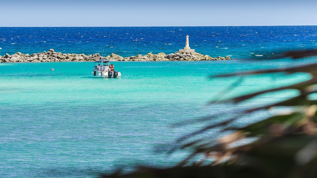 Photo of Others in Puerto Aventuras
