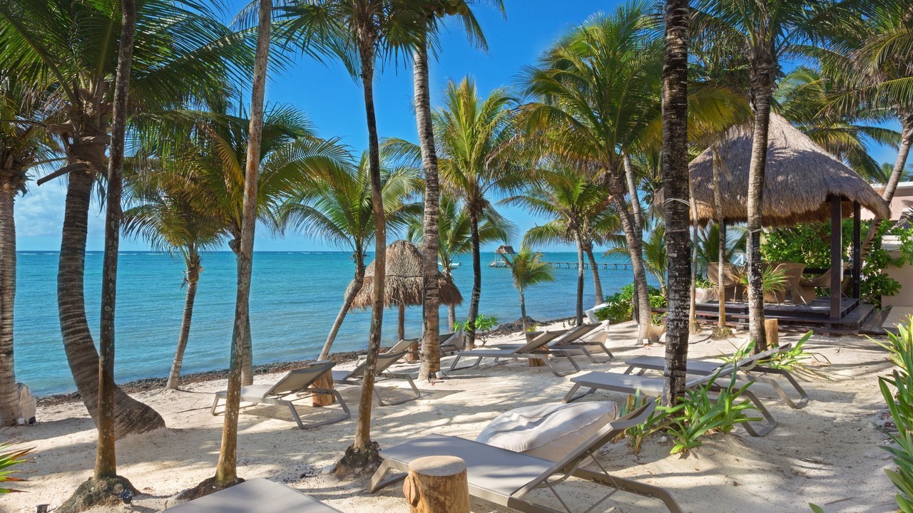 Photo of Others in Playacar Fase I