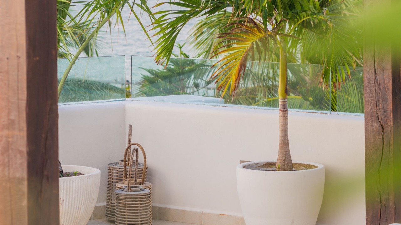 Photo of Patio Balcony in Playacar Fase I