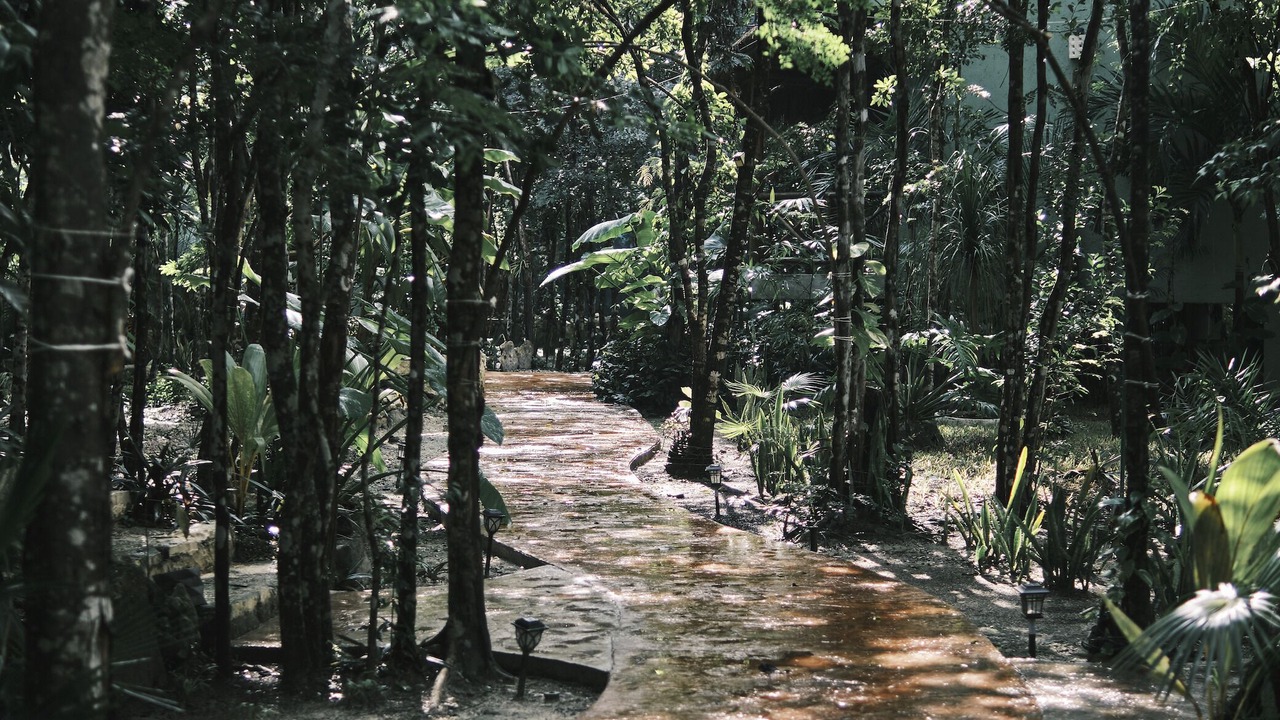 Photo of Outdoor in Cozumel