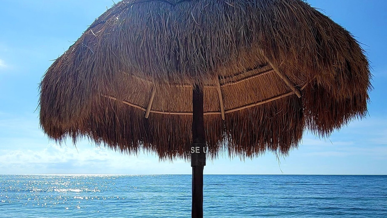 Photo of Others in Akumal