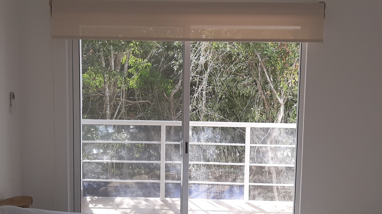 Photo of Others in Puerto Morelos