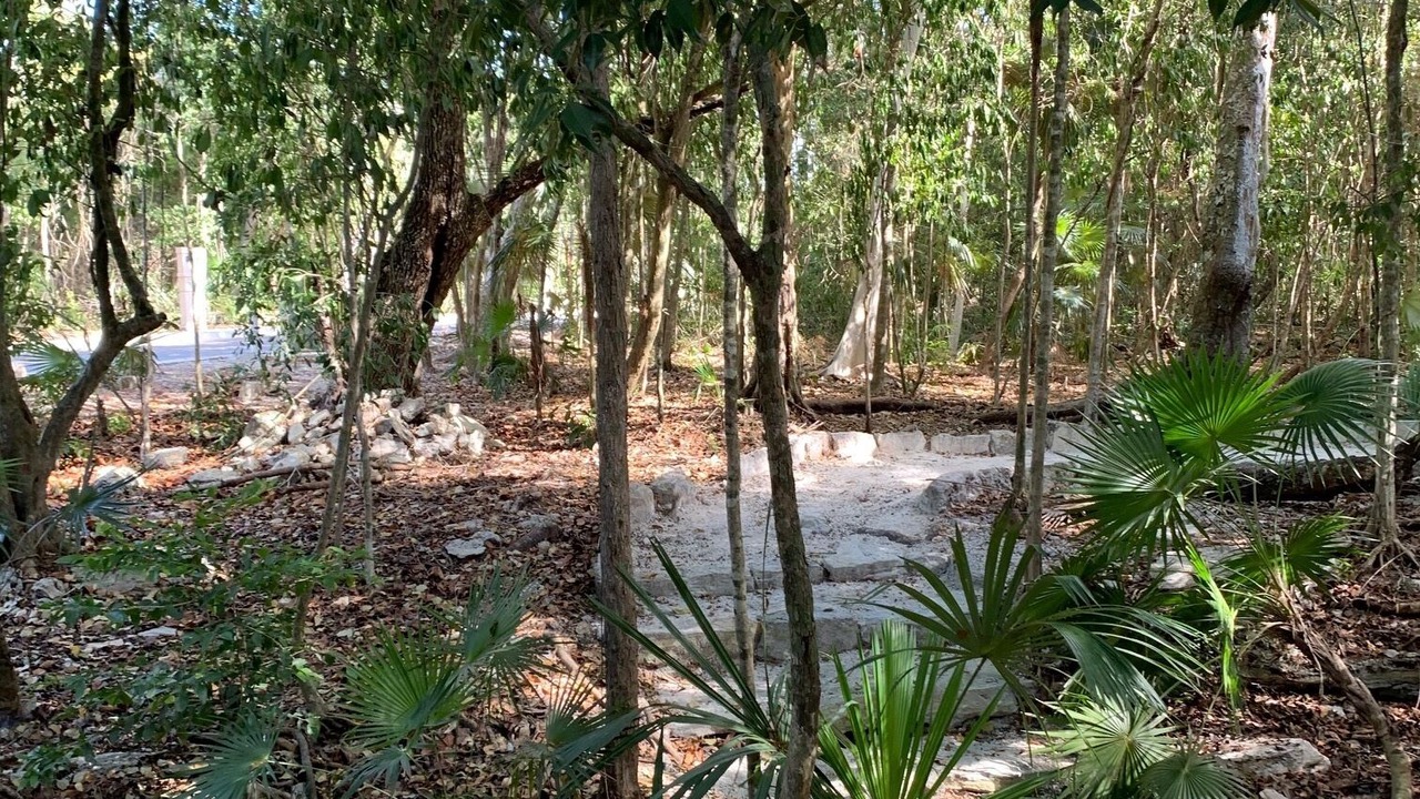 Photo of Outdoor in Puerto Morelos