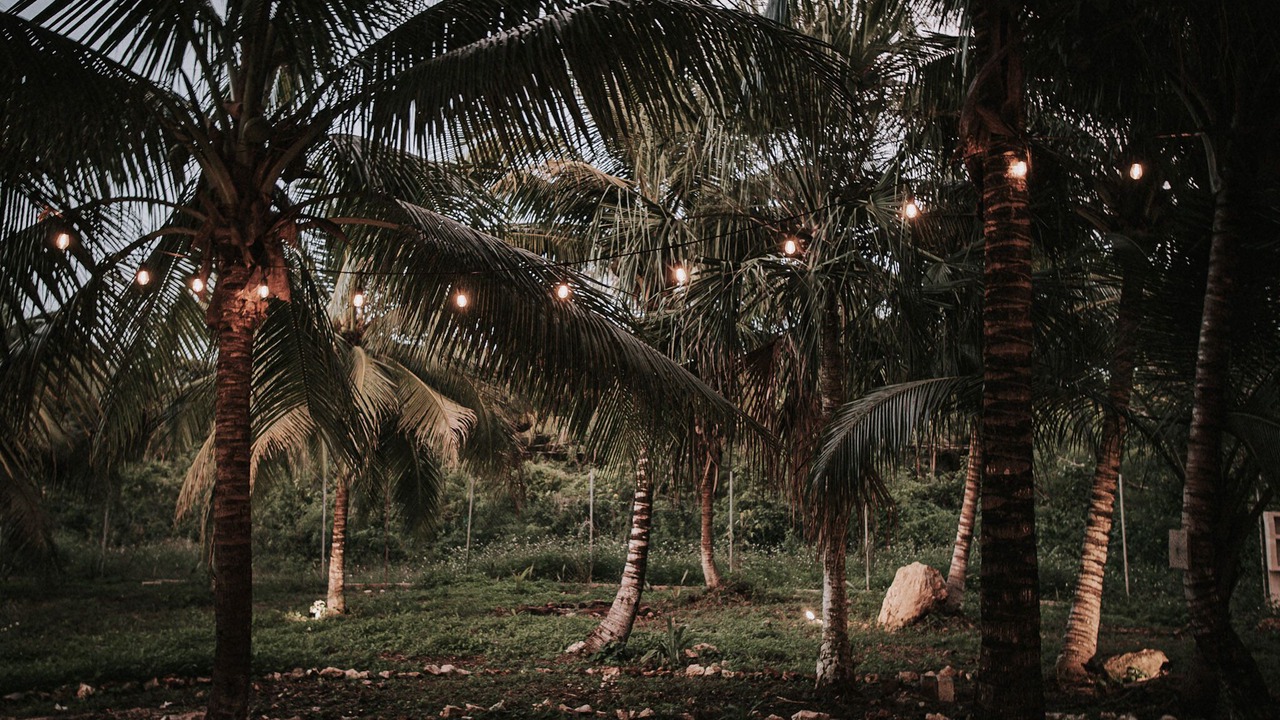 Photo of Outdoor in Bacalar