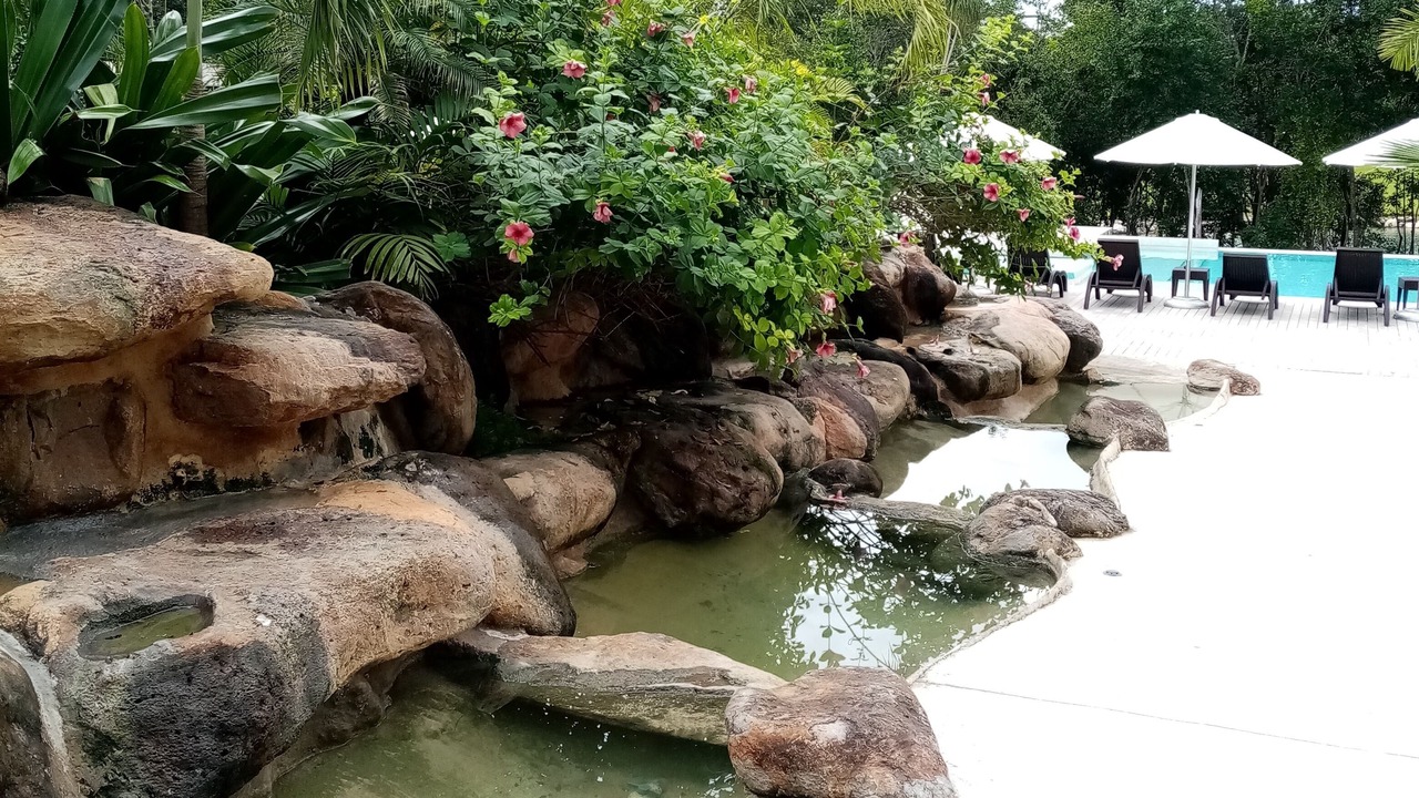 Photo of Outdoor in Akumal
