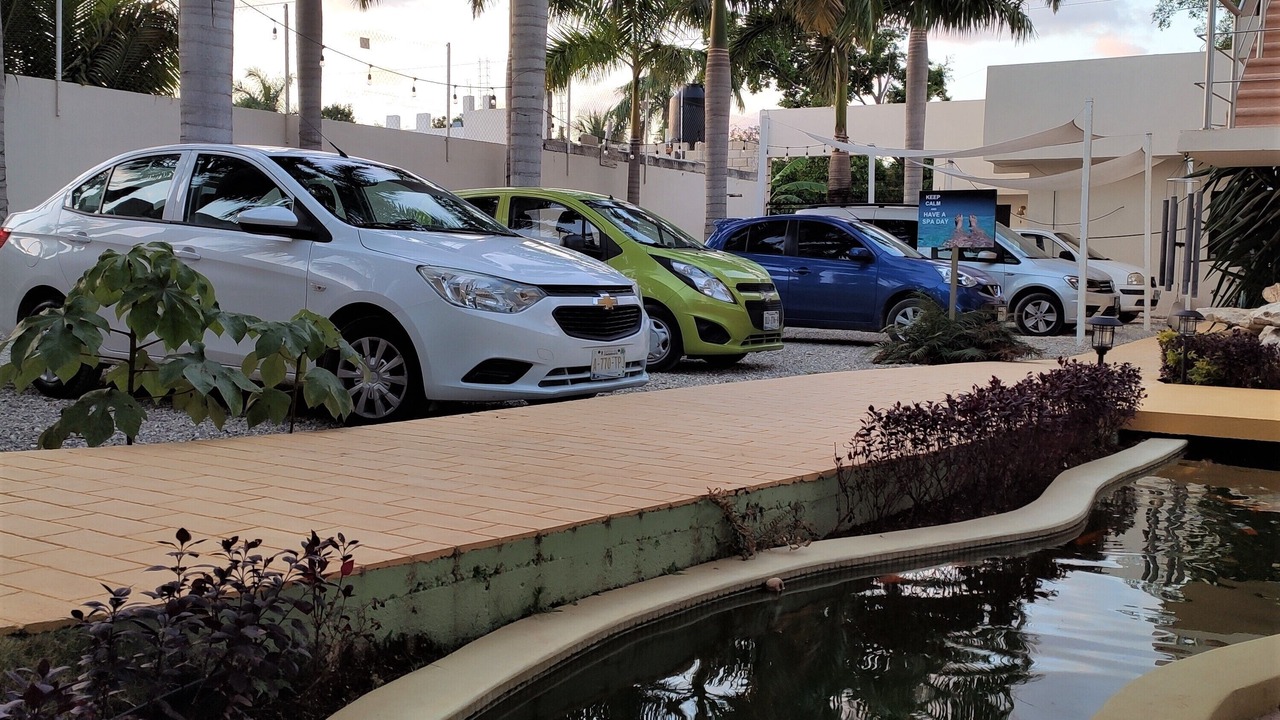 Photo of Outdoor in Alfredo V. Bonfil