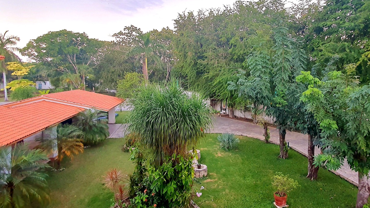 Photo of Outdoor in Chetumal