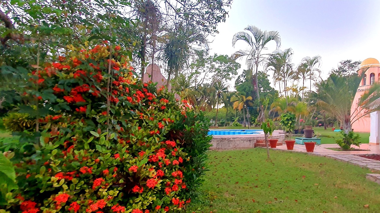 Photo of Outdoor in Chetumal