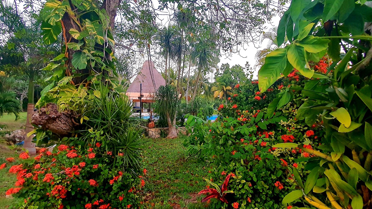 Photo of Outdoor in Chetumal