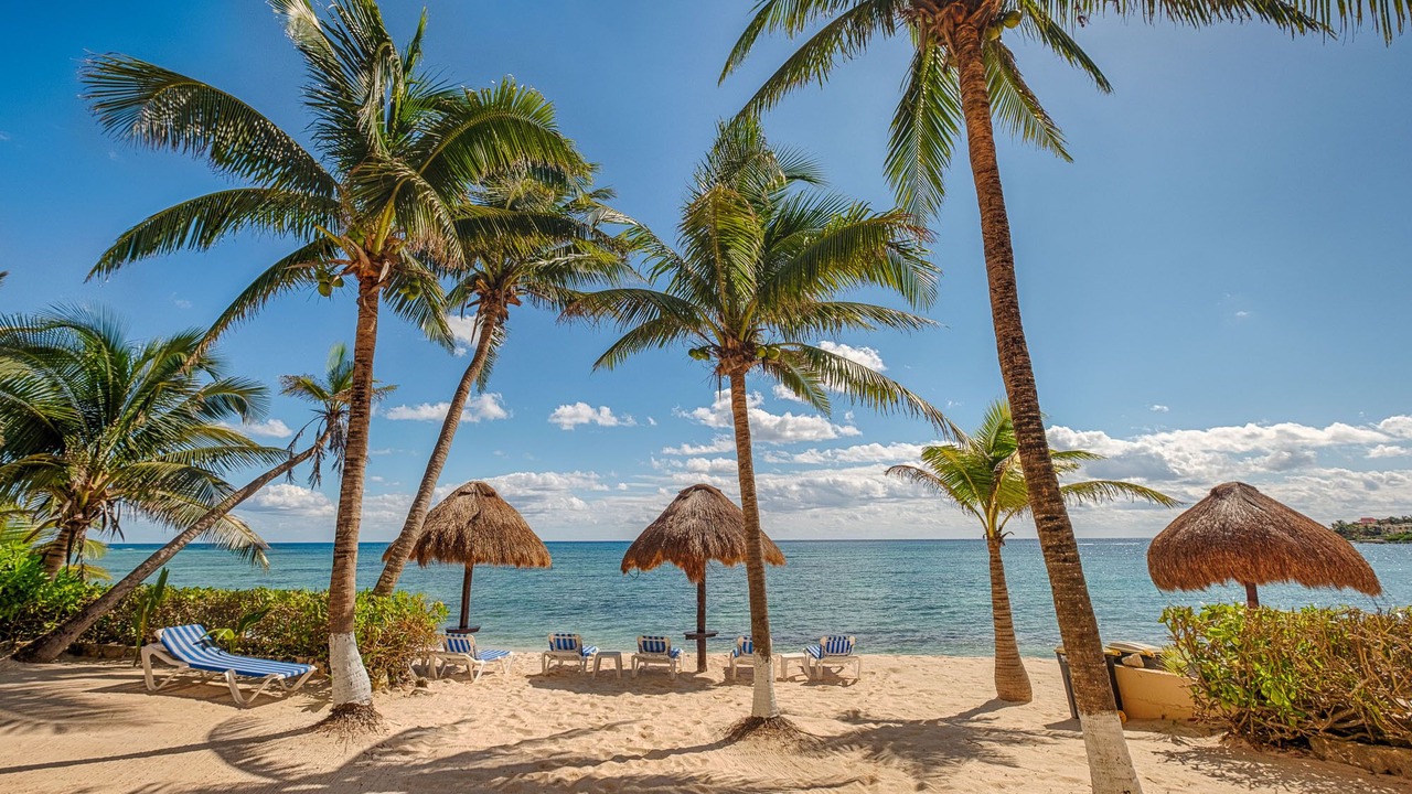 Photo of Others in Akumal