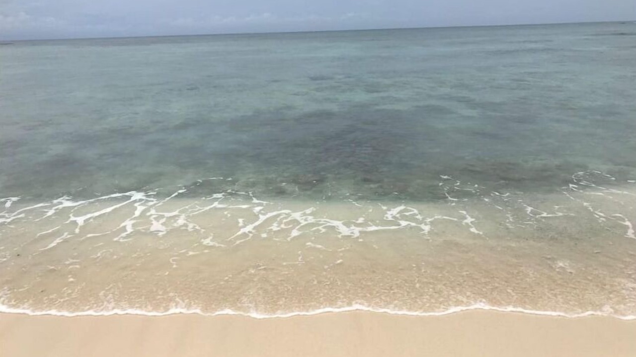 Photo of Others in Akumal