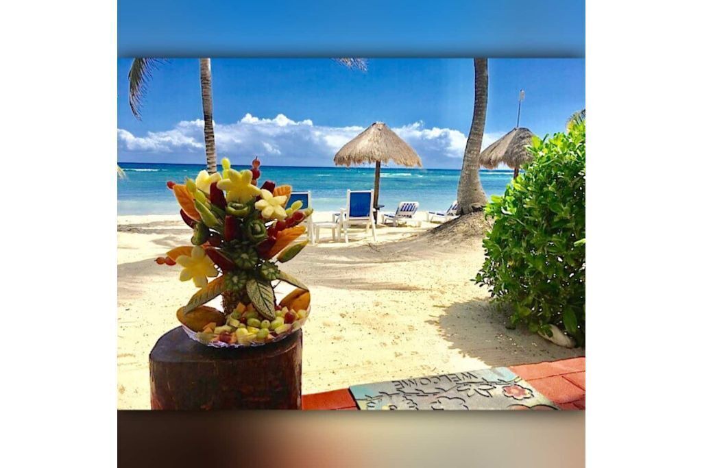 Photo of Others in Akumal