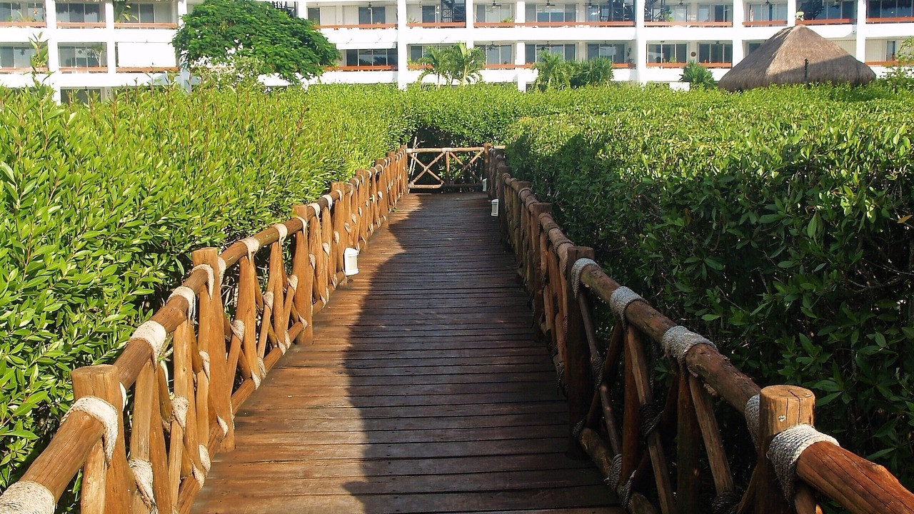 Photo of Outdoor in Costa Maya
