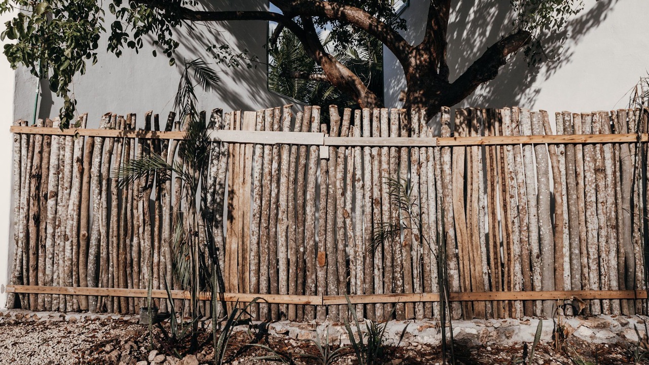 Photo of Outdoor in Bacalar