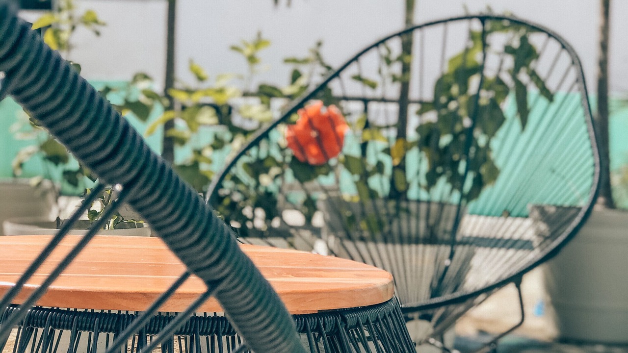 Photo of Patio Balcony in Luis Donaldo Colosio