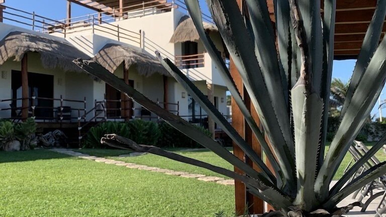 Photo of Outdoor in Colonia Meteorologico