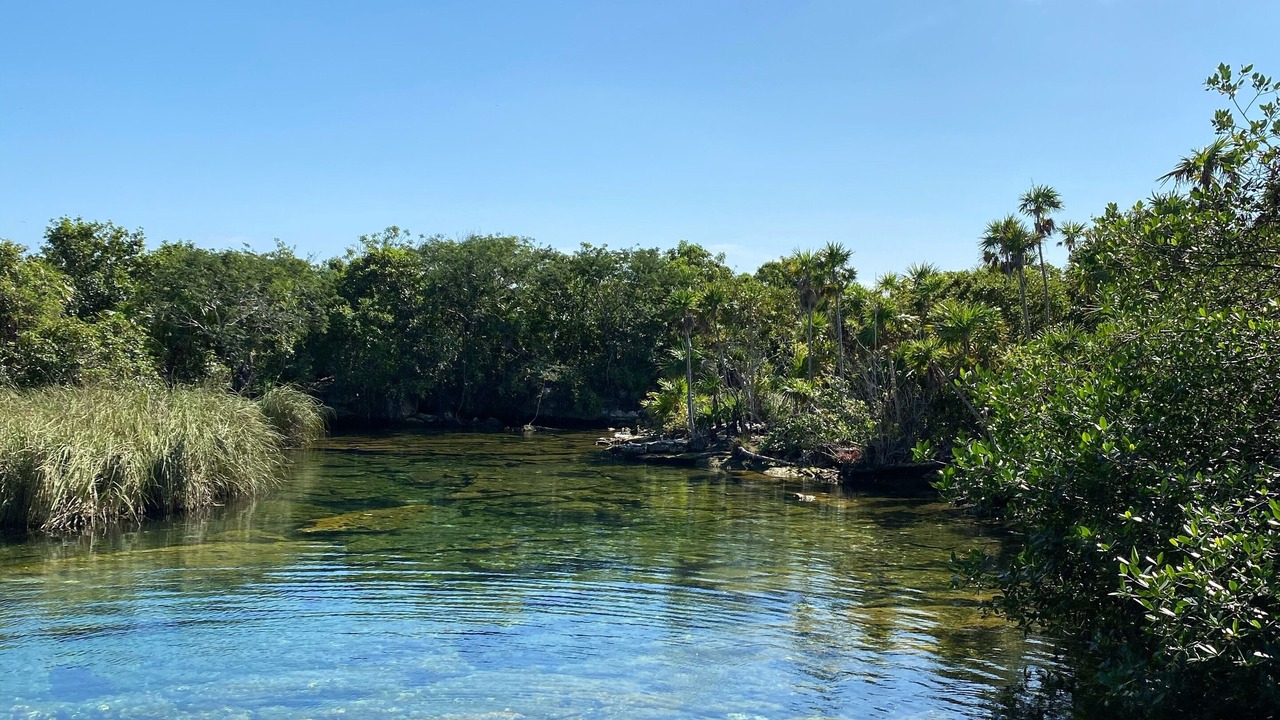 Photo of Outdoor in Akumal