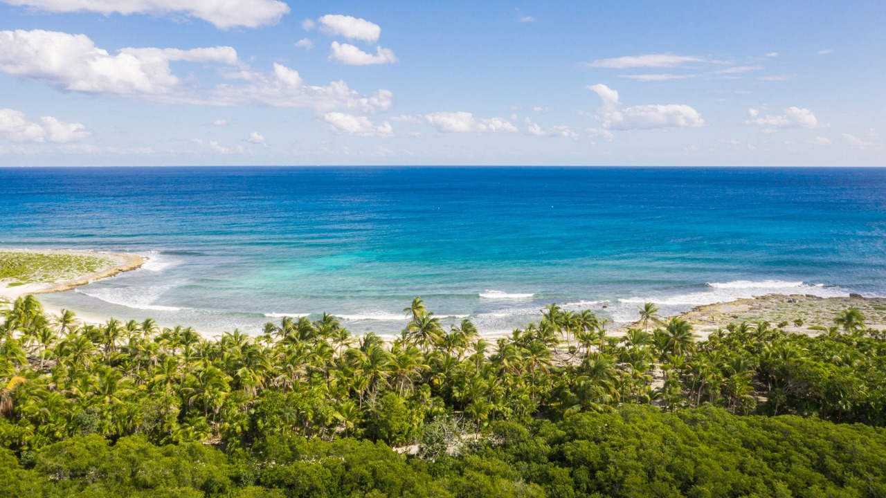 Photo of Others in Akumal