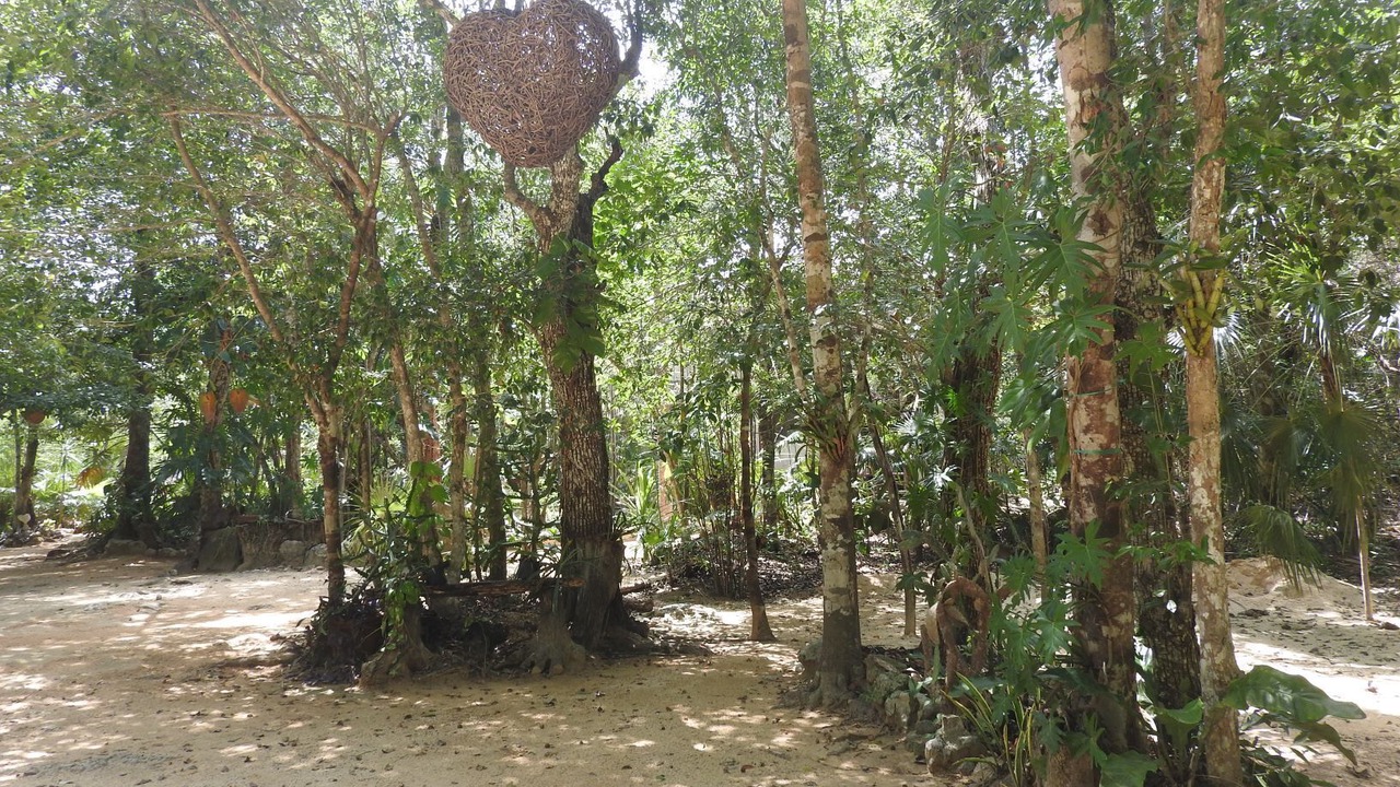 Photo of Outdoor in Tankah
